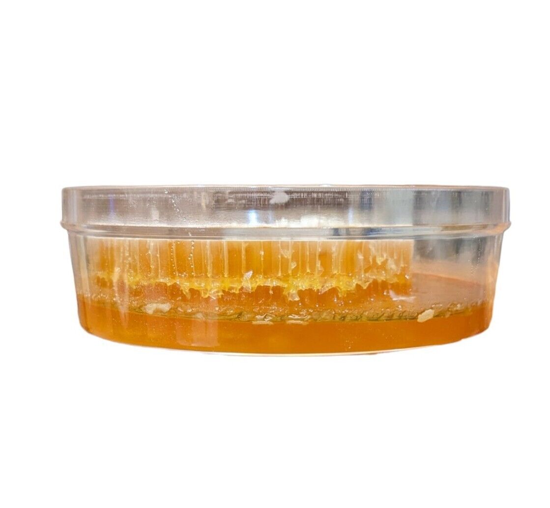 Vintage Pure Honey With Comb In Plastic Pack 17.6oz